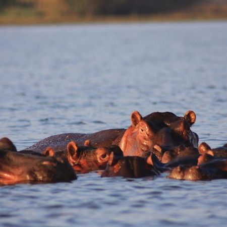 Lake Naivasha Simba Lodge Найроби Экстерьер фото