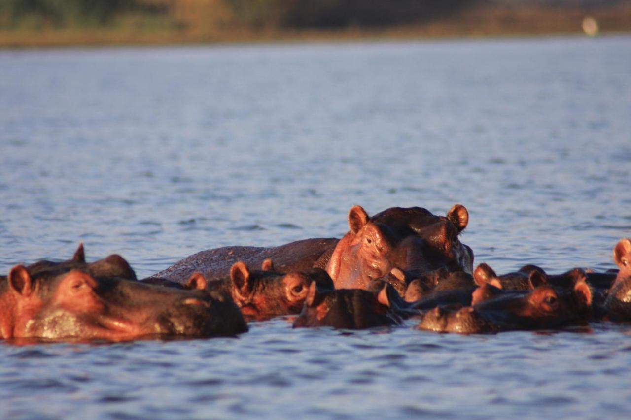 Lake Naivasha Simba Lodge Найроби Экстерьер фото