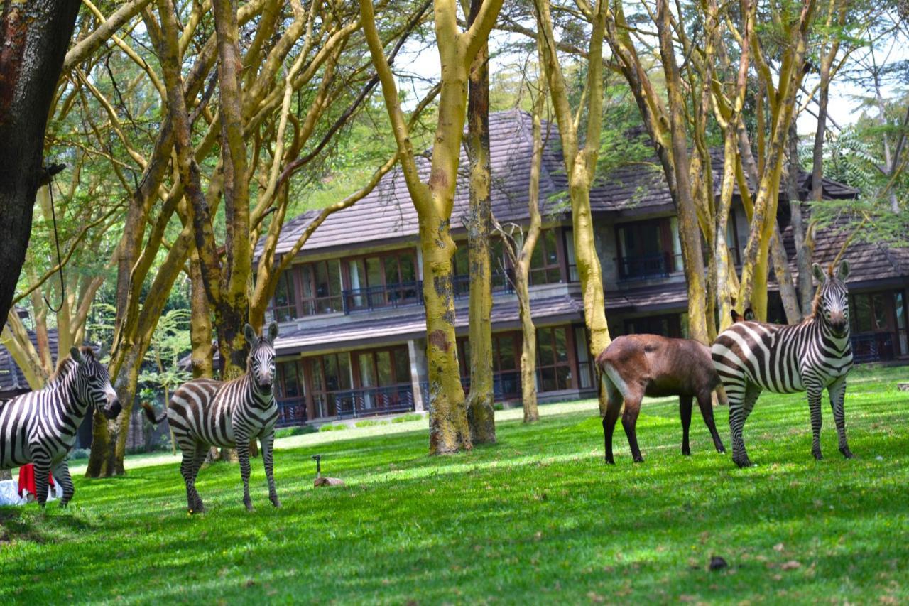 Lake Naivasha Simba Lodge Найроби Экстерьер фото